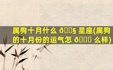 属狗十月什么 🐧 星座(属狗的十月份的运气怎 🐒 么样)
